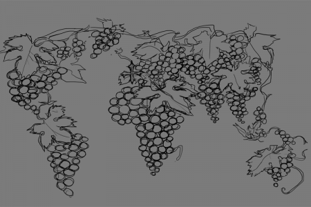 French wine business design